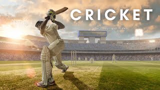 Cricket | Sports | Background Video | No Copyright | Free Stock Footage