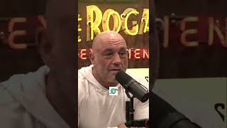 The AI Proposal: Navigating an Uncertain Future Wealth