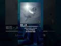 카이카(廻花) - 인어(人魚) #shorts #카이카