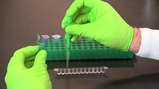 How To Perform A Qualitative ELISA