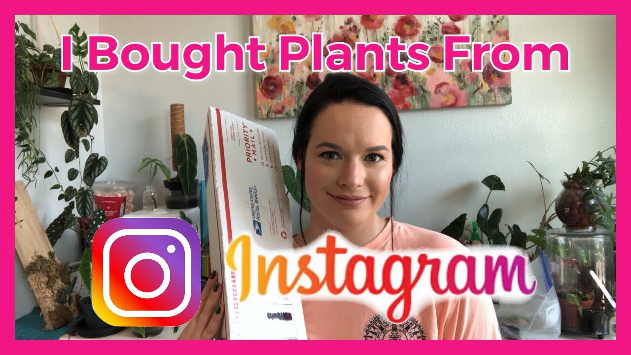 I BOUGHT A PLANT ON INSTAGRAM YouTube
