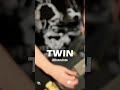 #shorts mintmints &ndash; TWIN【HD Remastered】|SHARA(EARTHSHAKER)