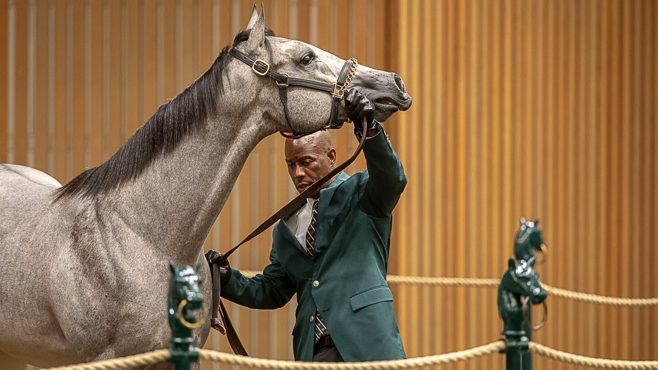 Keeneland September Sale "The largest and most important thoroughbred
