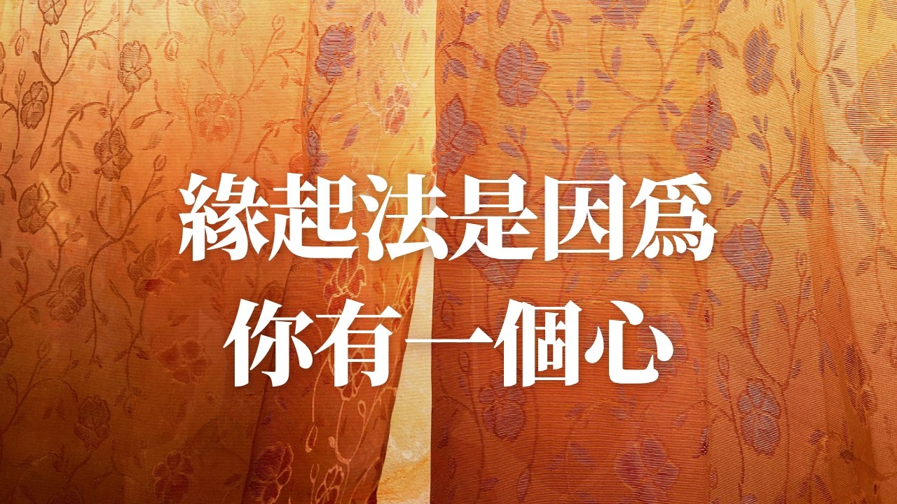 緣起法是因為你有一個心｜兩邊的真相｜這世間就是落入到兩邊見之後，才有產生這所有一切的問題｜隆禪法師