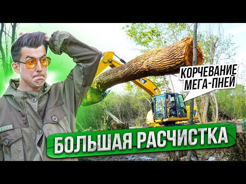 Корчевание больших пней. Расчистка и планировка участка