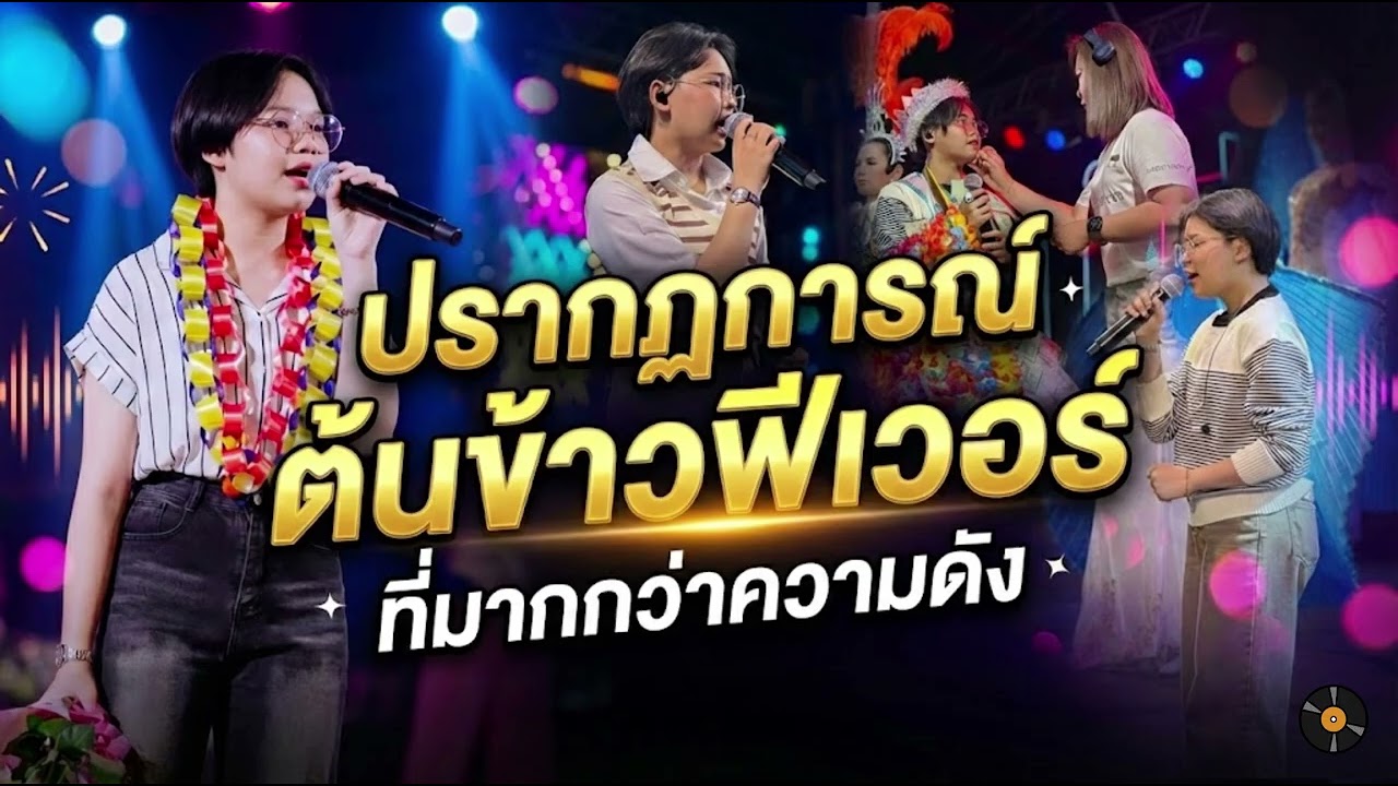 ปรากฏการณ์ต้นข้าวฟีเวอร์ที่มากกว่าความดัง 