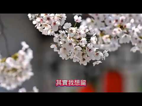 其實不想走（周華健）