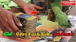 கிளி ஜோசியத்தின் ரகசியம் | கிளி ஜோசியம் உண்மையா ? | KILI JOSIYATHIN RAGASIYAM | screenshot 2