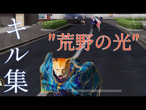 【荒野行動】″荒野の光″マントを着て2試合で魅せるキル集【毎日投稿】