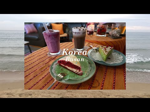 VLOG｜釜山｜🌊颱風前的5天4夜旅行 ｜一起看海🌉吃海鮮🐟和更多美食🥢｜ArieLand