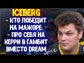 Iceberg про победителя WePlay AniMajor; Alwayswannafly и расклады на новую команду