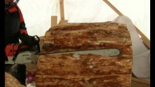 Lies Marie Hoffmann Homage To The Elm Trees Project Avi