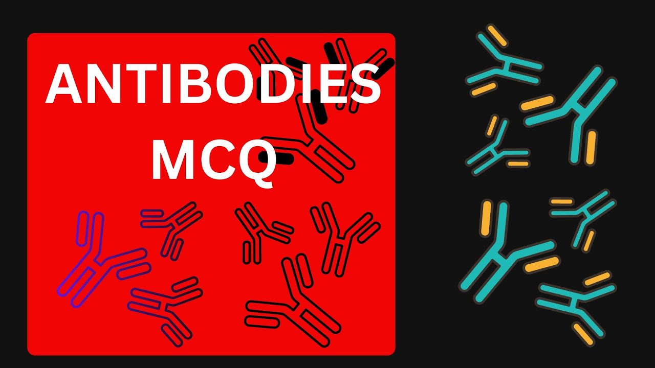 Antibodies MCQ Immunology antibodies Immunoglobulin antibody 