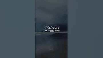 سورة الإخلاص بصوت الشيخ ماهر المعيقلي #quran #قران_كريم #حالات_واتس