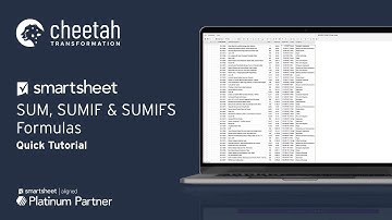 Smartsheet SUM, SUMIF & SUMIFS Formulas (QUICK Tutorial)