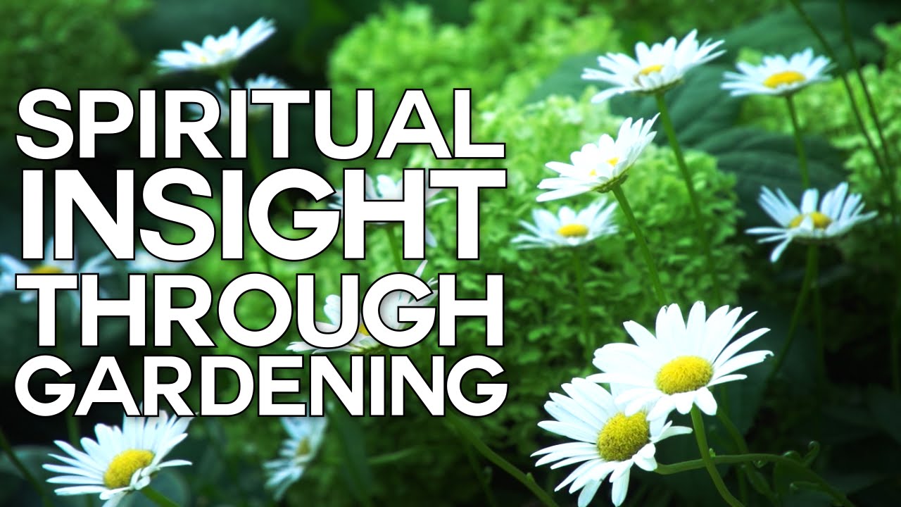 Spiritual Insight Through Gardening and Life YouTube