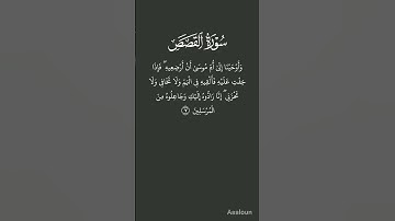 سورة القصص الآية 7 بصوت ياسر الدوسري #سورة_القصص