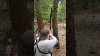 3d Walking Black Bear Target. #archery #sport #outdoors #hobby #practice #mates #fun #nature #3d #ok