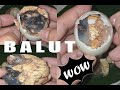 🔴ASMR Balut Duck Embryo EXOTIC DELICACY ep.54