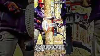 자동 나무 가지치기 기계의 위력 #worker #process #machinery #forestry #tools