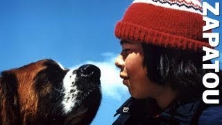 La guerre des tuques 2  -  La pétition 2009 - 2010