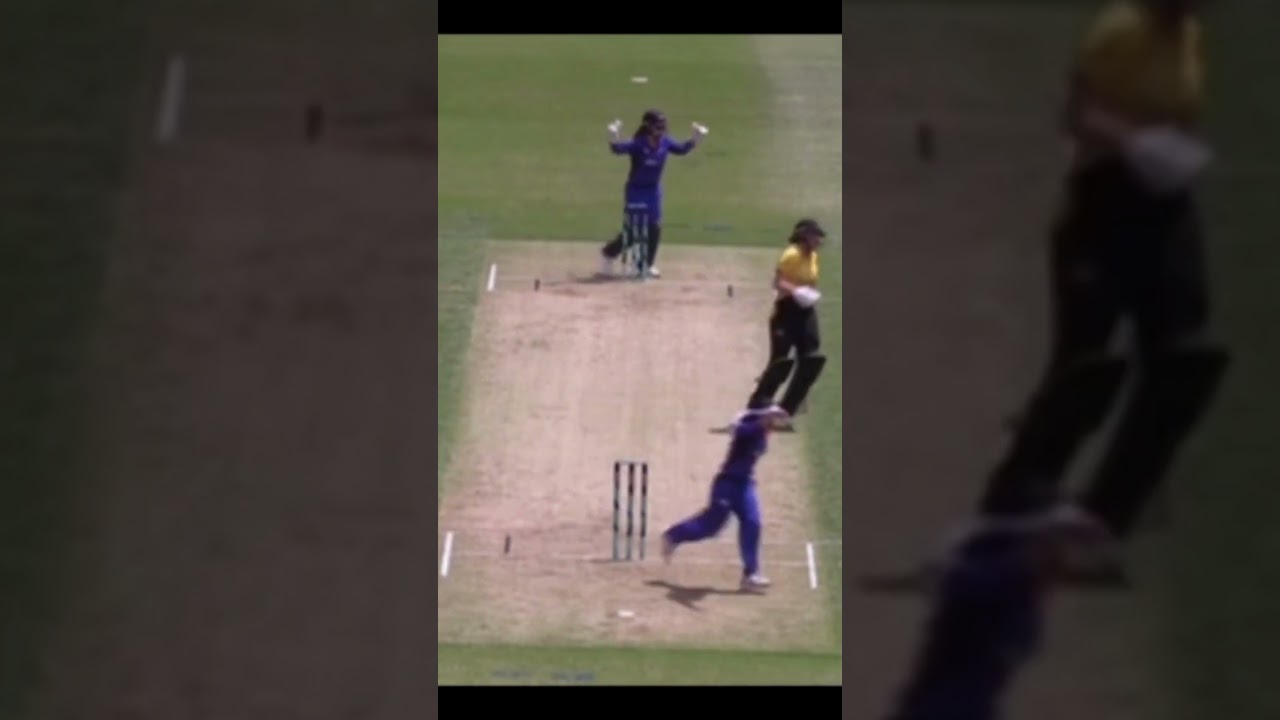 Better acquaint yourself with Rishika Jaswal 