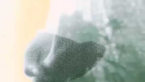 Jasivin - Mocking Sincerity~ [Official Music Video]