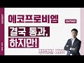 에코프로비엠 (247540) - 결국 통과, 하지만!