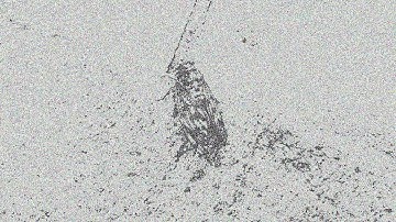 Processing animation art ( 作品 )