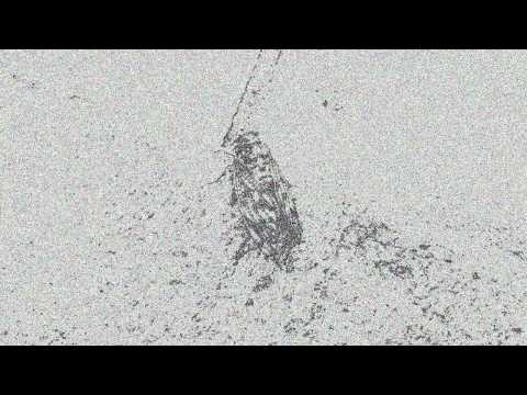 Processing animation art ( 作品 )