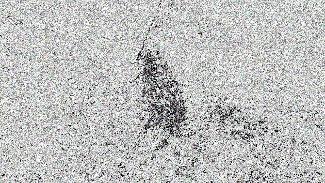 Processing animation art ( 作品 ) - YouTube