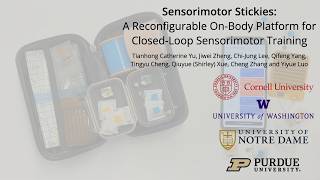 Sensorimotor Stickies: A Reconfigurable On-Body Platform for Closed-Loop Sensorimotor Training