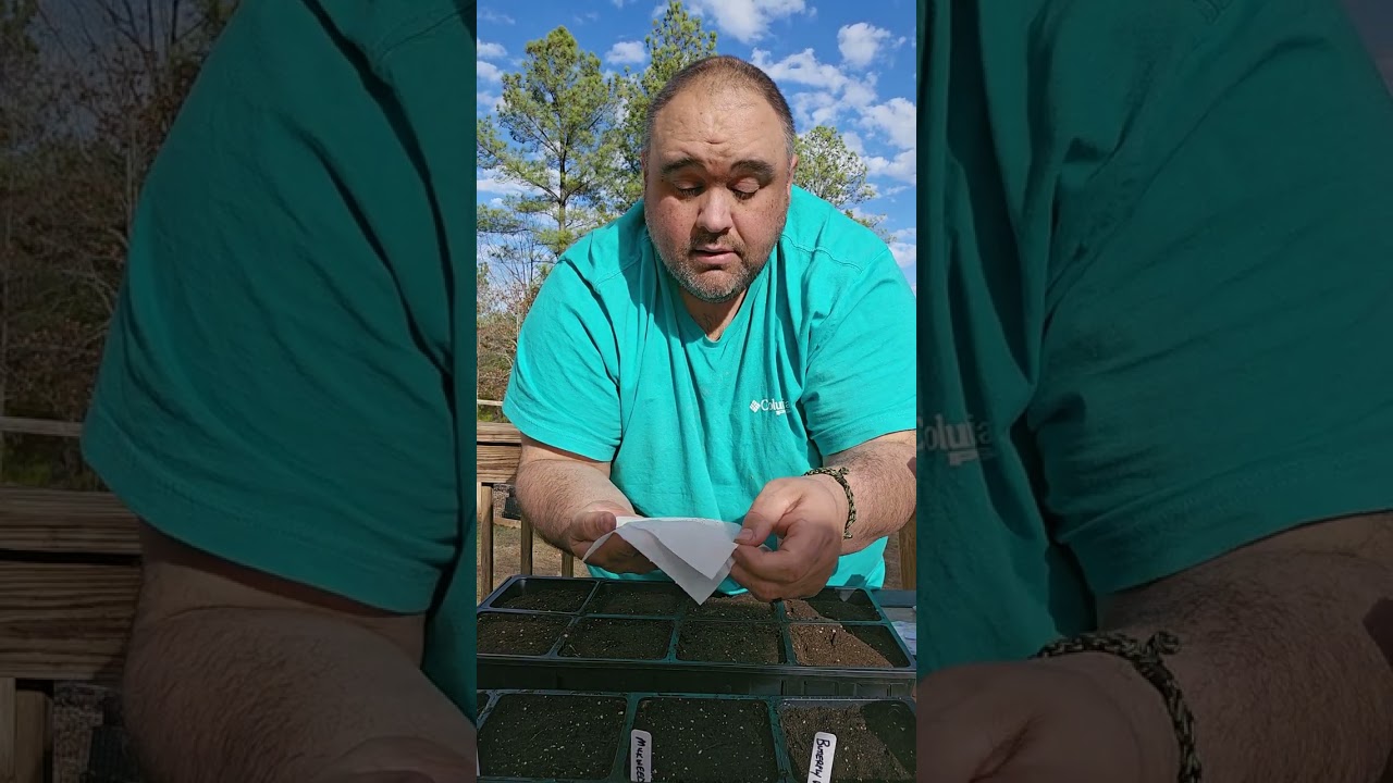 Starting Cold Stratified Seeds