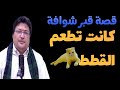 قصة قبر الشوافة صاحبة القطط