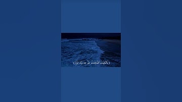 سورة مريم 🌊🤍| بصوت الشيخ عبد الرحمن مسعد | #اسلام #اكسبلور #مقاطع_دينية #قرآن #عبدالرحمن_مسعد 🤍 🌿