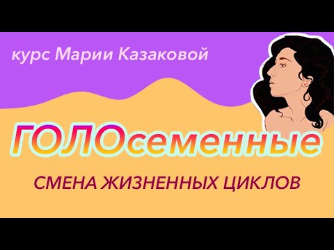 Урок "Размножение голосеменных" — ЦТ, ЕГЭ, ЗНО