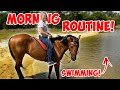 My morning routine with 40 animals  going on a trail ride