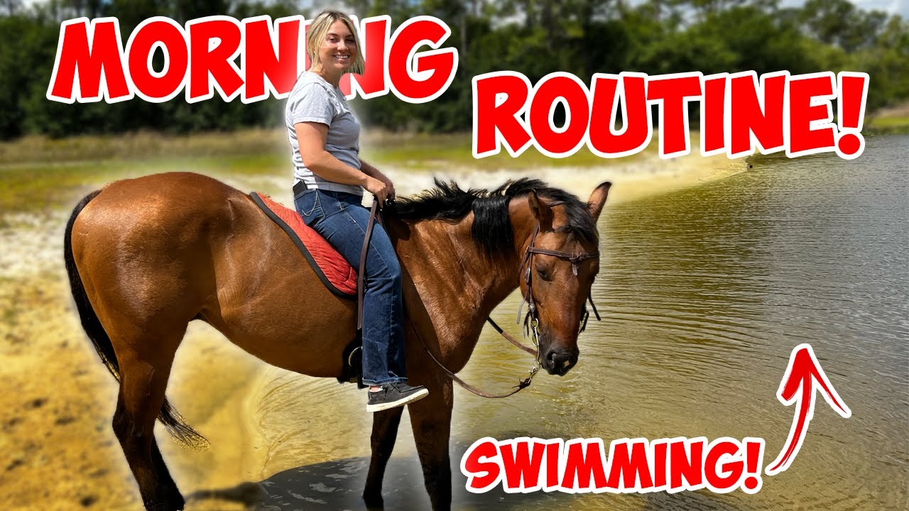My Morning Routine With 40+ Animals | GOING ON A TRAIL RIDE! - YouTube