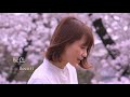 Kecori 桜色 Music Video Kecori 桜色 Music Video