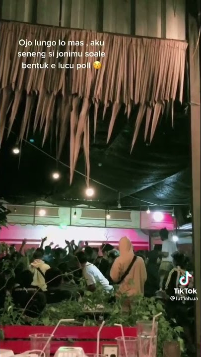 story WA 19 detik pemersatu bangsa 👉👌