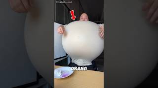 nekat memakan buah iblis #onepiece