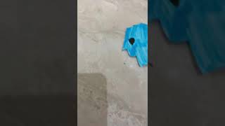 Viacom Destroys The 1971 Pbs Logo Again