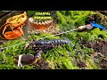 COASTAL FORAGING - Big Lobster , Scallops , Clams & Crabs , Oven Cooked Lobster