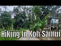 Hiking In The Mountains with Koh Samui Hill Walkers
