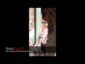 Termites Eating a Treated Timber Post Termites Eating a Treated Timber Post