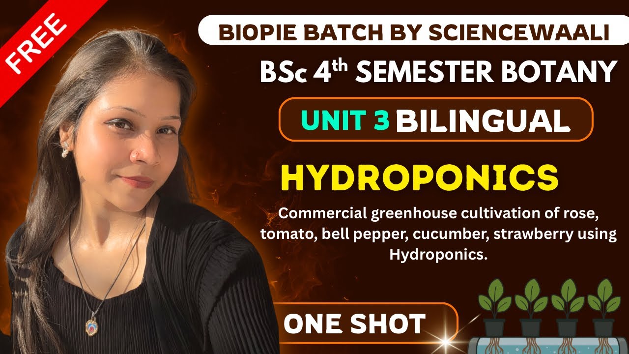 Hydroponic BSc 2nd year 4th Semester Botany Unit 3 ONE SHOT 🔥💯 - YouTube