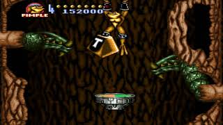 Battletoads in Battlemaniacs : Level 2: Hollow Tree (Vertical descent stage with bees/fans) SNES