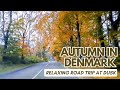 Autumn Road Trip Through Denmark: Towns, Countryside &amp; Cozy Vibes 🇩🇰