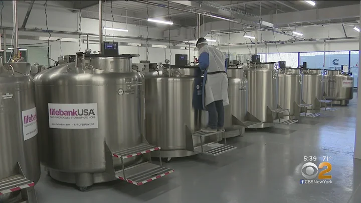 Coronavirus Update: 'Natural Killer Cells' Treatment Under Development