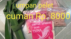 Umpan ikan mas pelet sinta - Durasi: 4.51. 